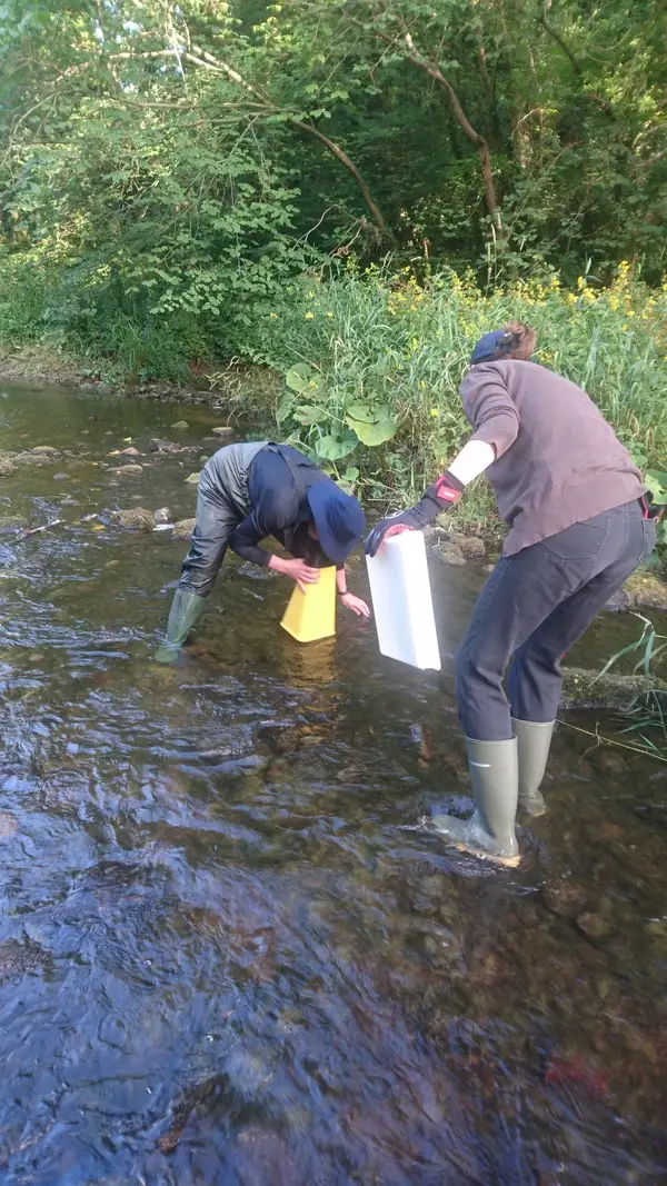 Climate Action Wansbeck event Investigating the White Tailed Crayfish - River Wansbeck - 2022