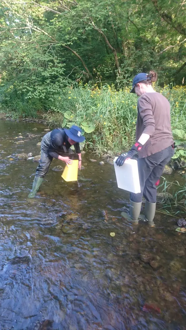 Climate Action Wansbeck event Investigating the White Tailed Crayfish - River Wansbeck - 2022