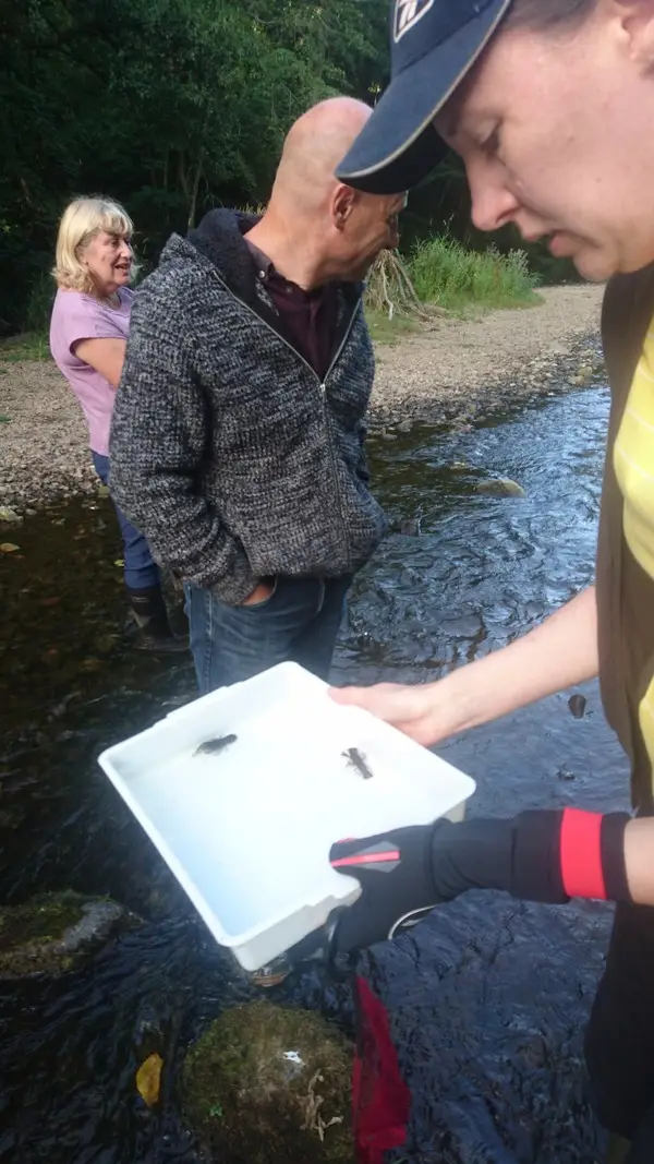 Climate Action Wansbeck event Investigating the White Tailed Crayfish - River Wansbeck - 2022