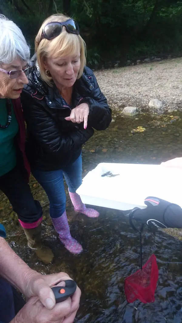 Climate Action Wansbeck event Investigating the White Tailed Crayfish - River Wansbeck - 2022