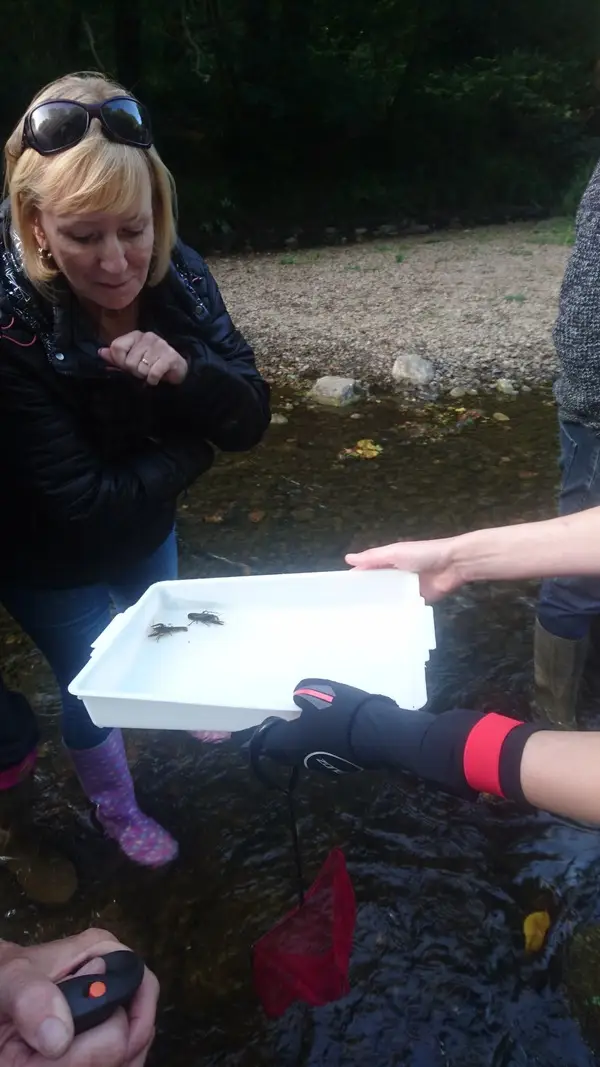 Climate Action Wansbeck event Investigating the White Tailed Crayfish - River Wansbeck - 2022