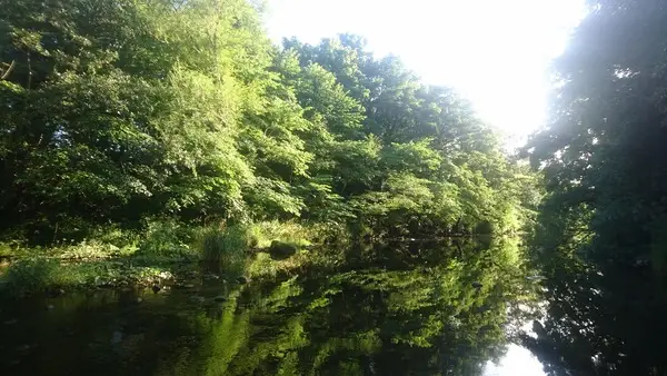 Climate Action Wansbeck event Investigating the White Tailed Crayfish - River Wansbeck - 2022