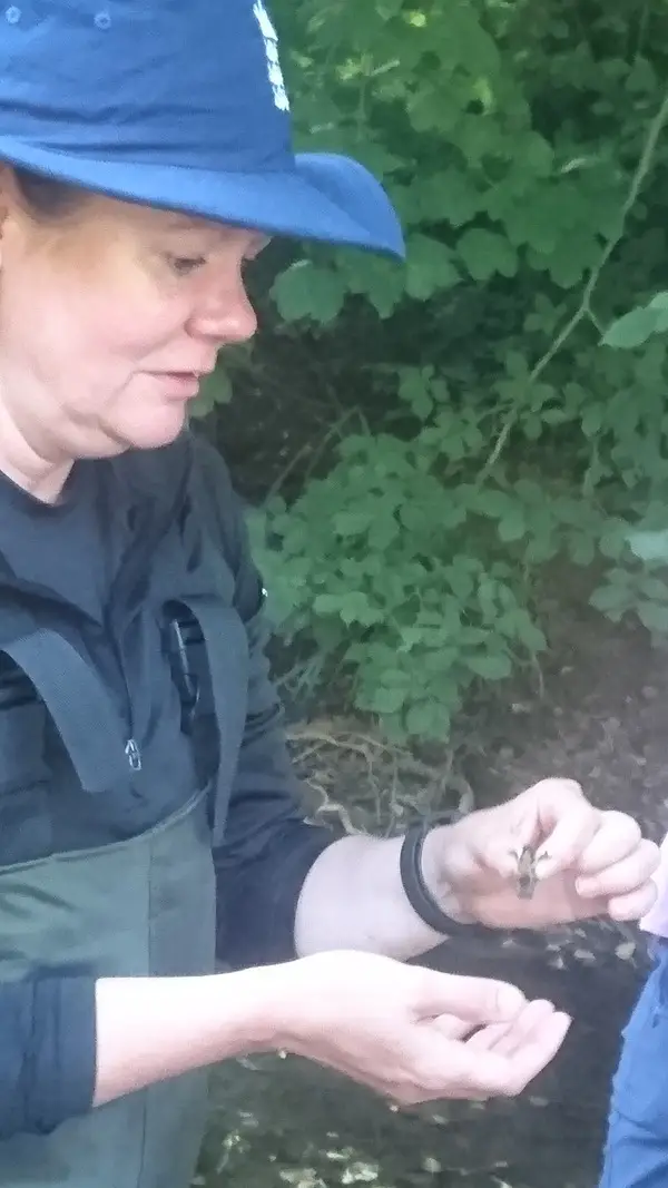 Climate Action Wansbeck event Investigating the White Tailed Crayfish - River Wansbeck - 2022