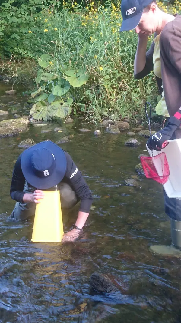 Climate Action Wansbeck event Investigating the White Tailed Crayfish - River Wansbeck - 2022